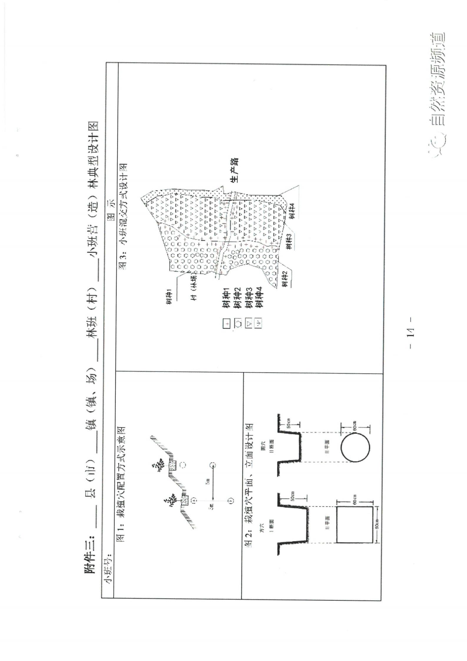 国家储备林基地建设年度施事情业设计治理步伐（试行）_12.jpg